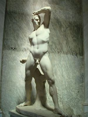 030・ピオ・クレメンティーノ美術館・ペルセウスの左の像.jpg