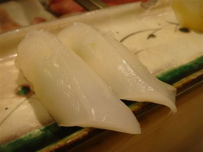 09_アオリイカ.jpg