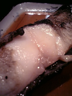image/seefood-2006-03-16T12:33:38-1.jpg